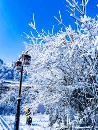 瓦屋山看雪攻略，這才是最正確的打開方式