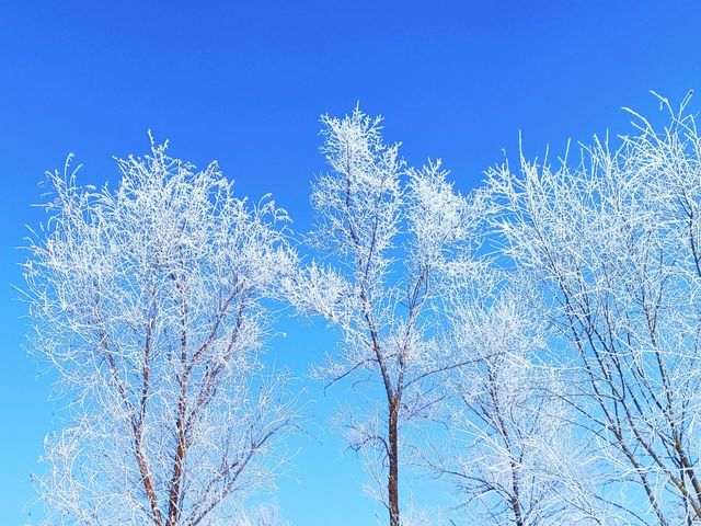 梅河口冬季初印象：吉林冰雪小城的魅力！