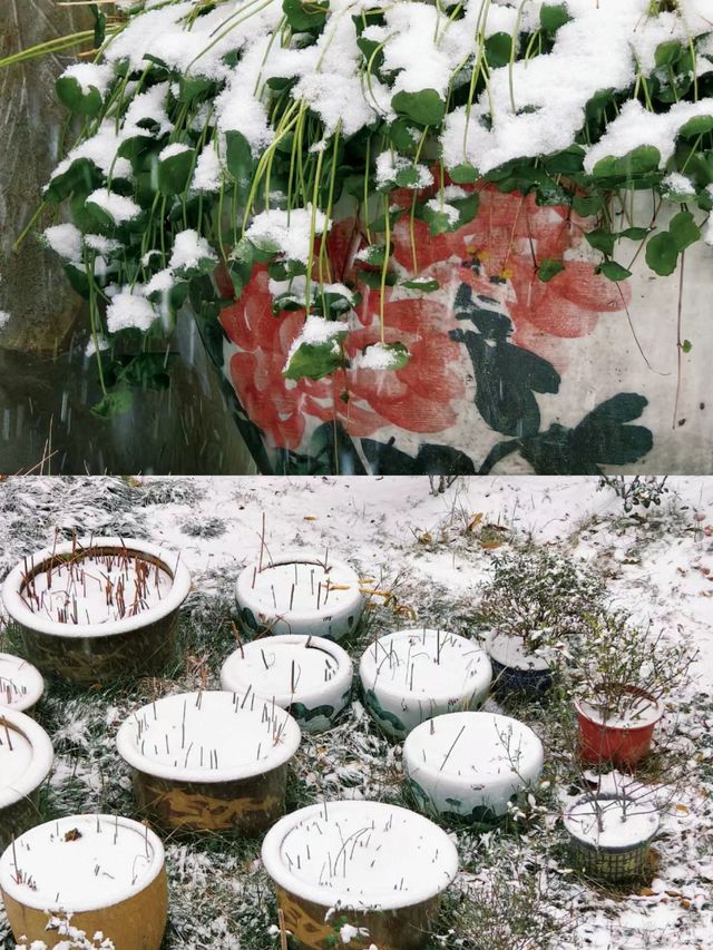 在合肥，總要去開福寺看一場初雪吧