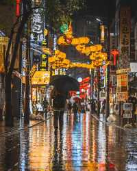 夜の横浜・雨の幻