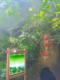 世界名人老子隱居的文化聖地