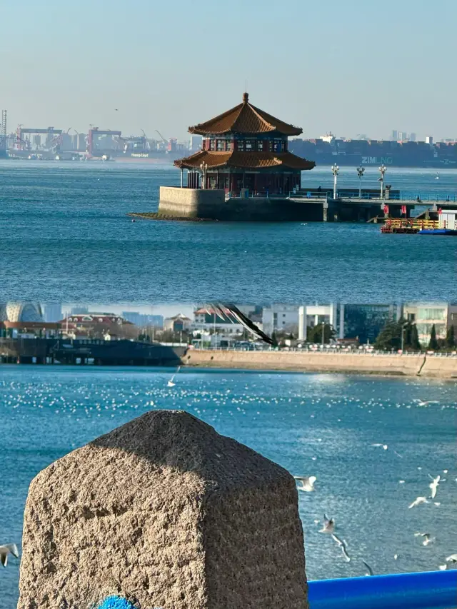 青島棧橋餵海鷗攻略：日落與海的浪漫時刻