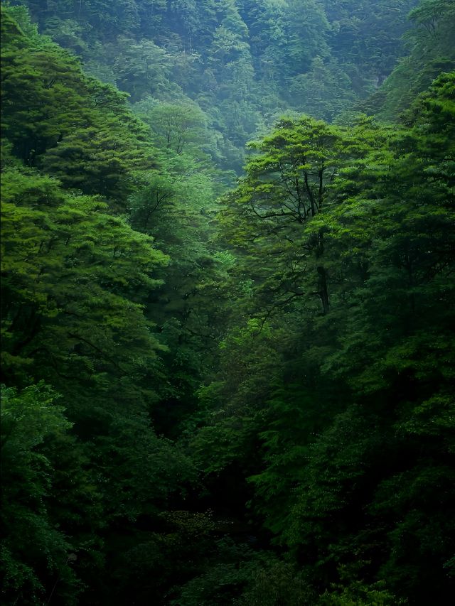 我見青山多妩媚，料青山見我應如是