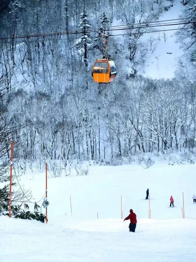 How can you not come to Sapporo International Ski Resort this winter