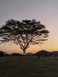 騎摩托逛泰國考艾國家公園，瑞享度假酒店