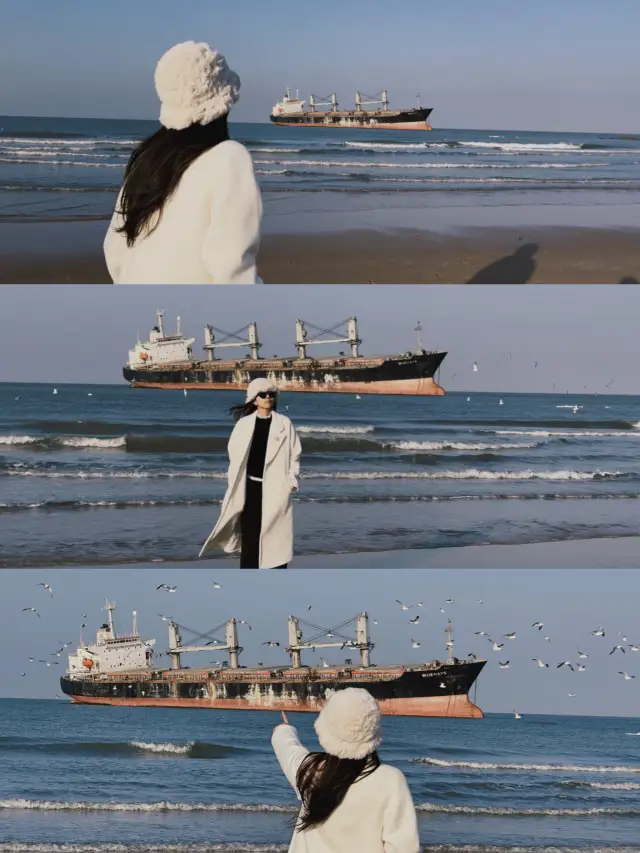 Took a cinematic photo in Weihai | The stranded Brewis
