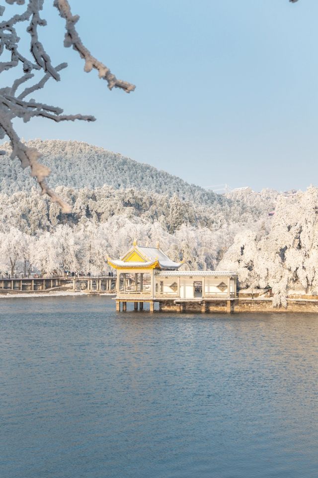 古人說“不識廬山真面目”，體會到了，廬山的雪景！絕美！