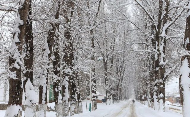 岷縣冬日冰雪世界，讓人流連忘返