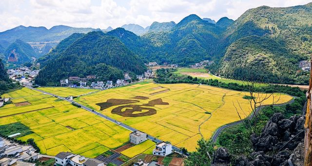 貴州興義萬峰林，秋收季節別樣風景