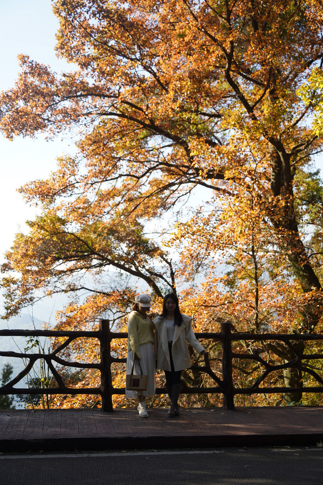 石門公園很秋天但是聽勸別來…
