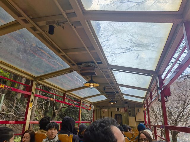 京都郊區一日遊