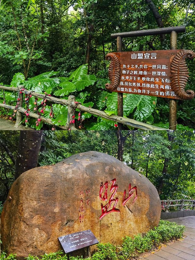 與三亞相比，我真的更喜歡這個負氧離子的雨林