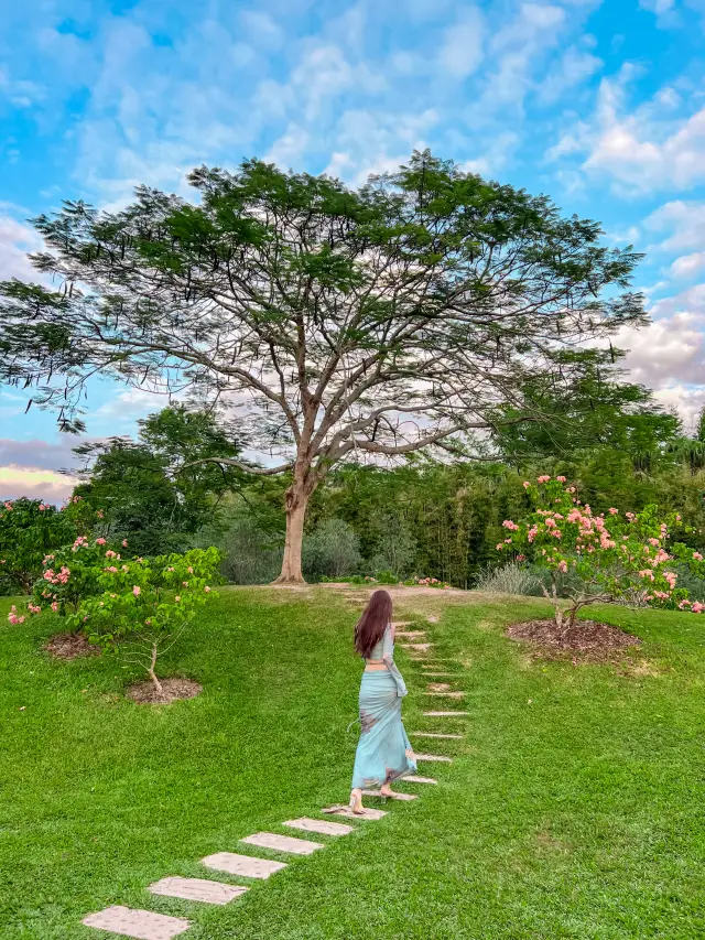 The Chinese Academy of Sciences Botanical Garden is still like Xishuangbanna even when it's not blooming season