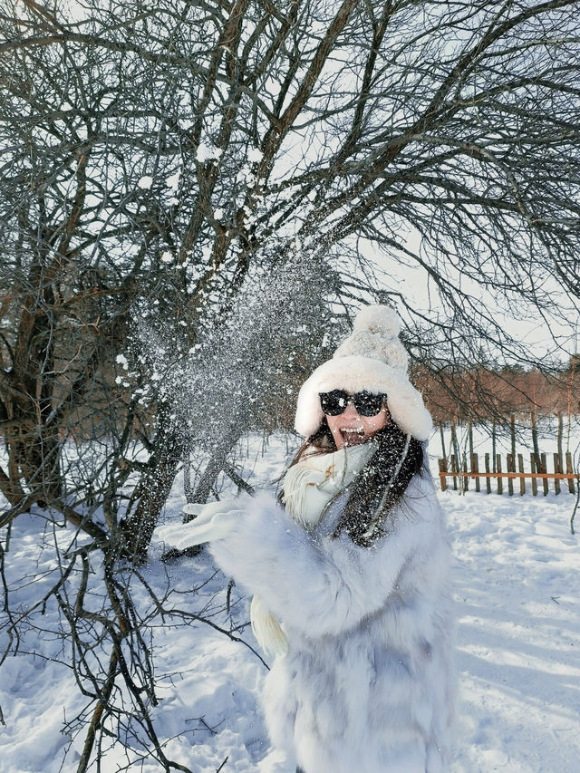 旅行碎片 雪嶺-二道白河 優質版攻略～