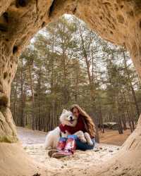 TOP 10 PLACES IN THE HARZ MOUNTAINS, GERMANY 🇩🇪