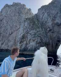 🐻⛵️ Polar Bear on a Boat: A Captivating Adventure in Capri 💛💙