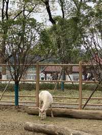 在武漢·武漢動物園新手入園攻