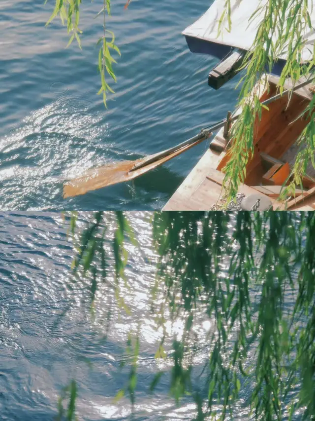 Sudi Chunxiao | Spring arrives and the river turns a greenish blue, how can one not reminisce about the South of the Yangtze?