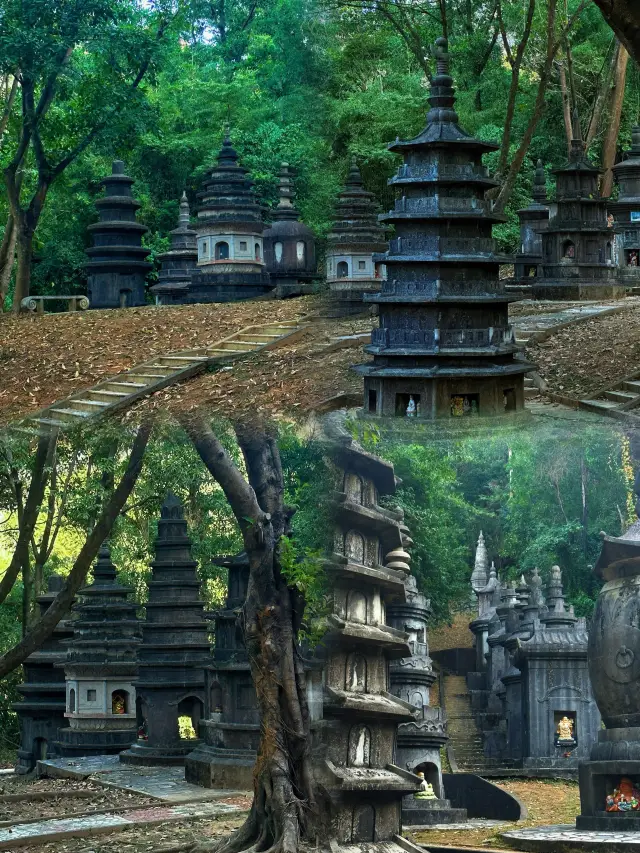 Discover the lesser-known gem of Shenzhen, step into the same Pagoda Forest as seen in 'Balala the Fairies'!