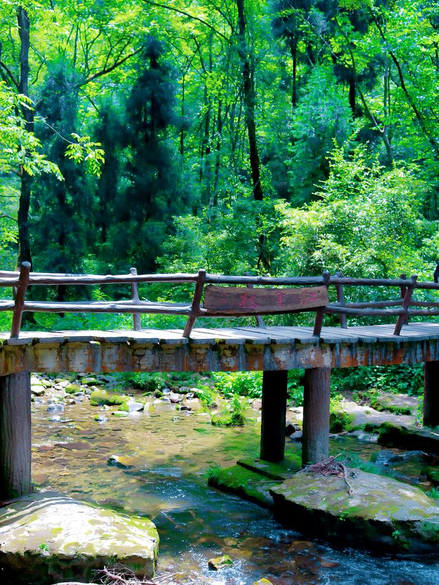 湖南張家界森林公園／以為是傳說，好一個天門山