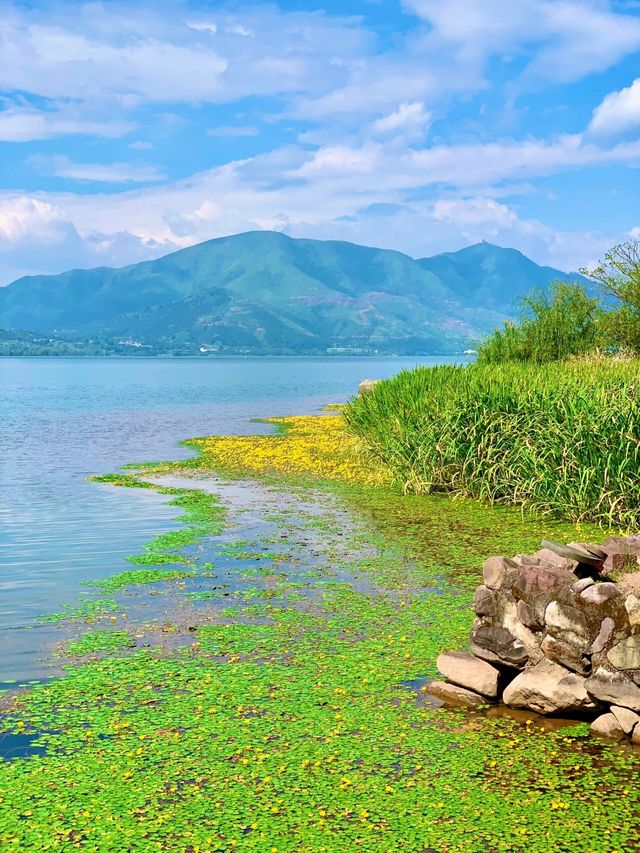 行前必看：邛海濕地公園旅行準備清單