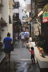 香港離島-南丫島 一定要去