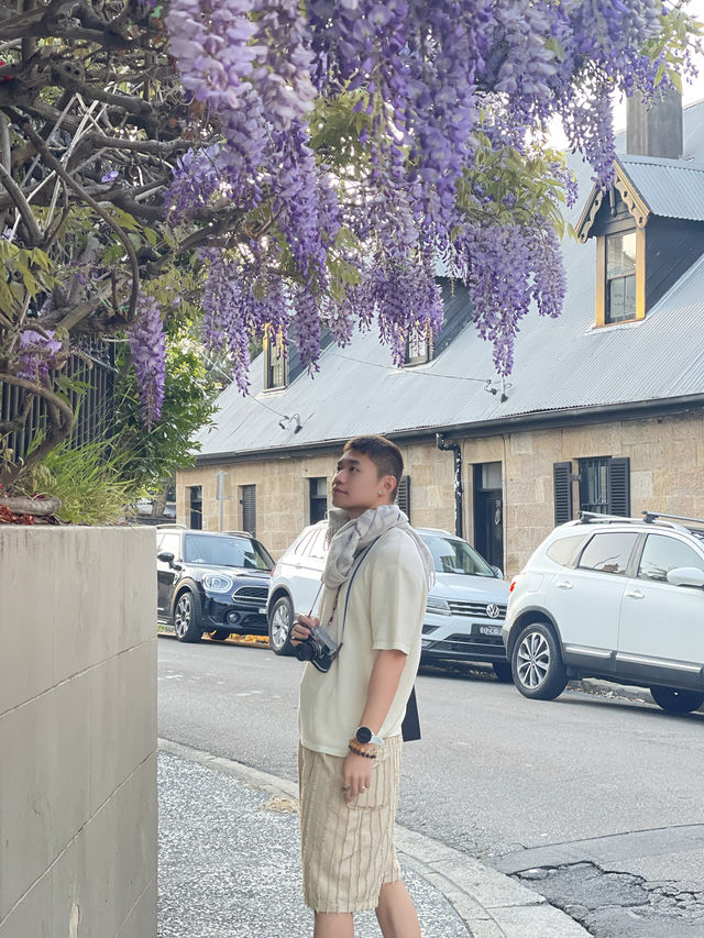 悉尼慢游01| 來paddington感受時尚與自然🩵