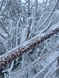 冬天的第一場雪｜我在鸬鳥山看了絕美霧凇