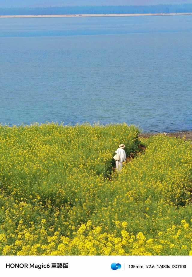 福建最美的油菜花海，被我發現了