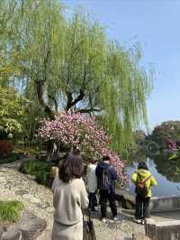 太倉，頂流的雙色桃花｜南園賞花