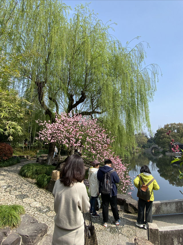 太倉，頂流的雙色桃花｜南園賞花