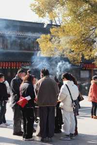 龍華寺祈福/願所願皆所求