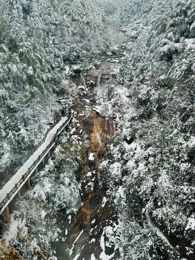 還上什麼班，直接去看武功山的雪景啊