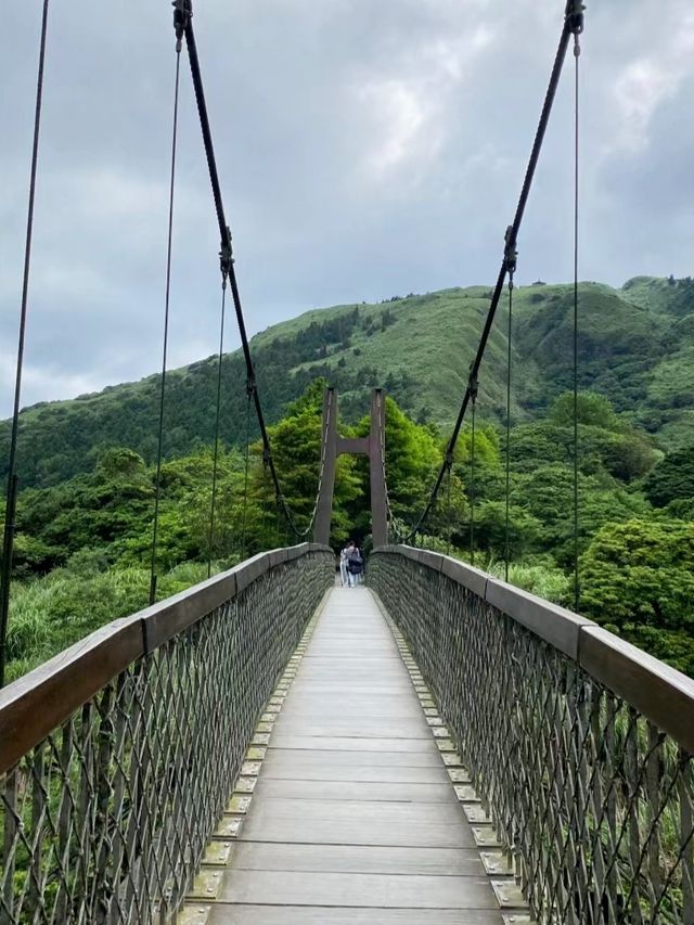 台灣徒步好去處陽明山擎天崗