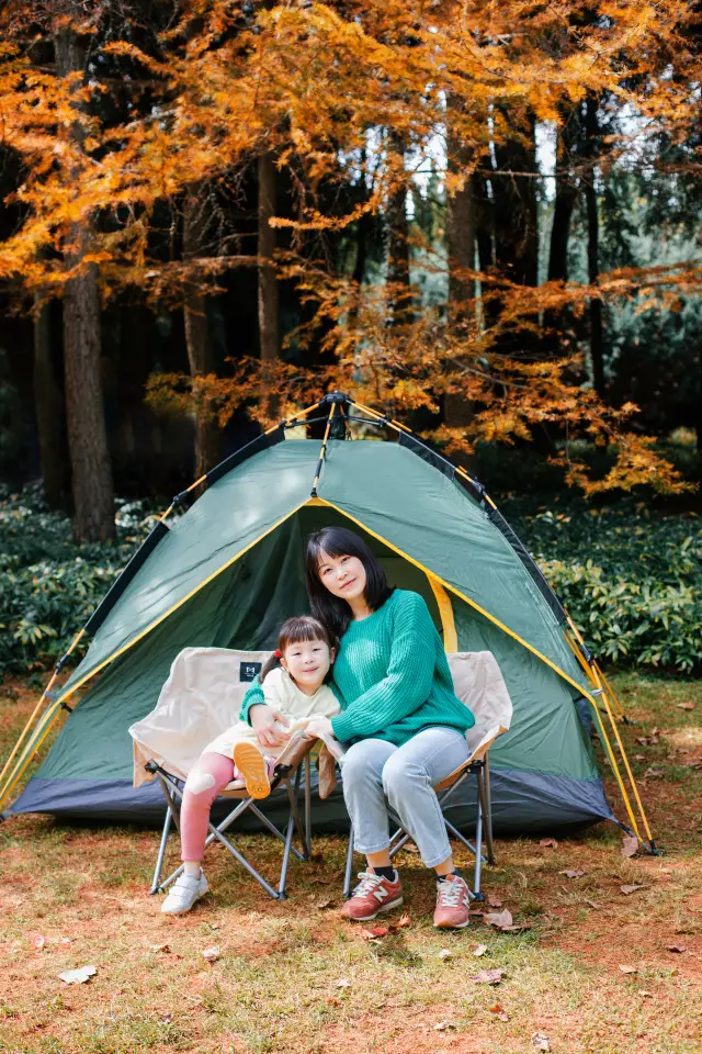 子供を連れて散歩したり、リラックスしたり、写真を撮るのに適した公園です