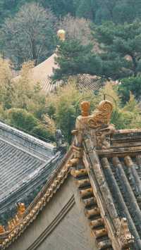 潭柘寺|北京1700年古剎