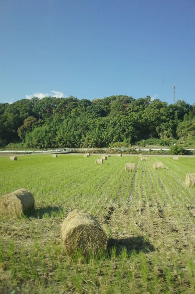 宮崎駿筆下的場景再現-徒步尾瀨國立公園