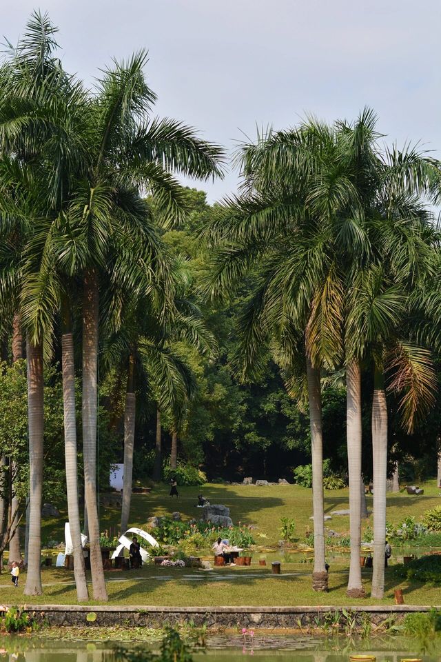 探索南寧人民公園：自然與歡樂的融合