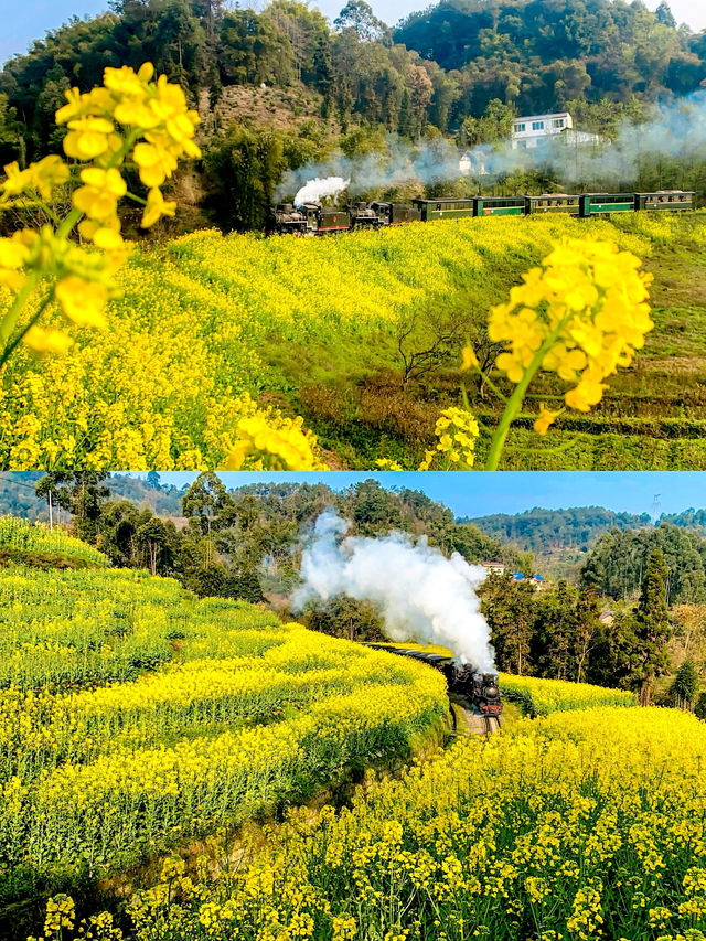 春天玩點花的｜樂山嘉陽小火車旅行