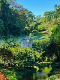 廣州樹木公園：地鐵直達的綠色秘境，探索原始森林之美