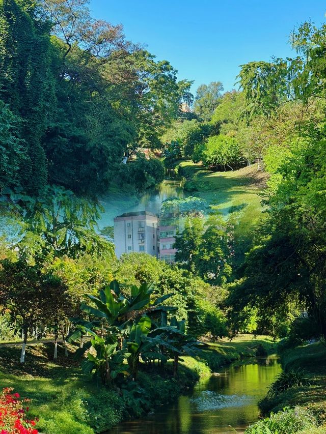 廣州樹木公園：地鐵直達的綠色秘境，探索原始森林之美