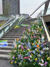 重慶春日小眾打卡地誤入莫奈的後花園