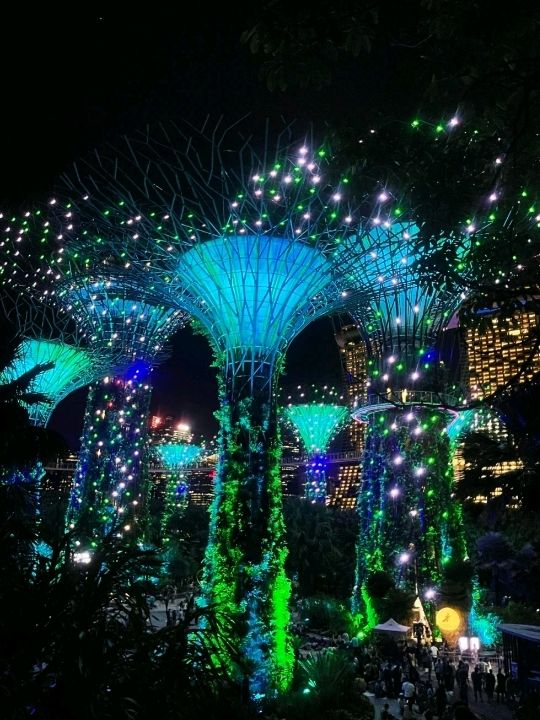 Relax at Marina Bay Garden 🇸🇬