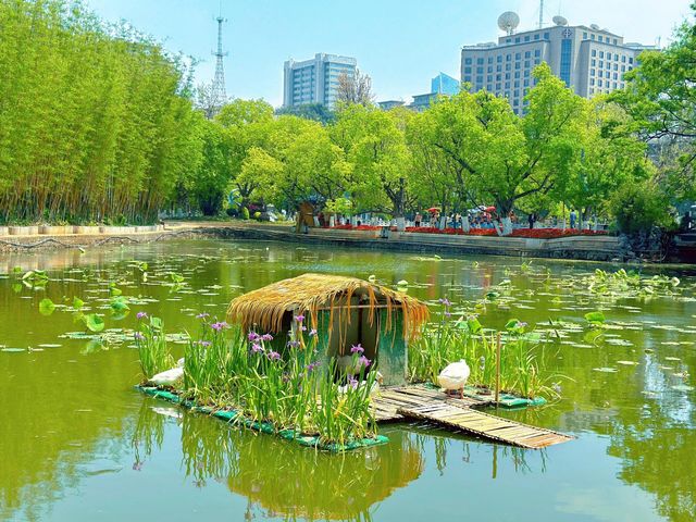 翠湖公園|讓生活慢下來！！！