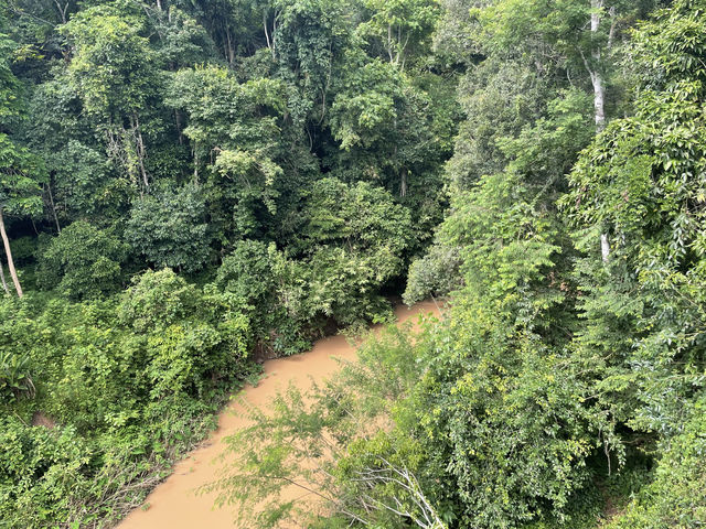 雲南之旅