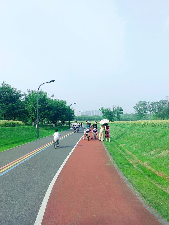 華東最大植物園，林田相依、湖岸美景交融