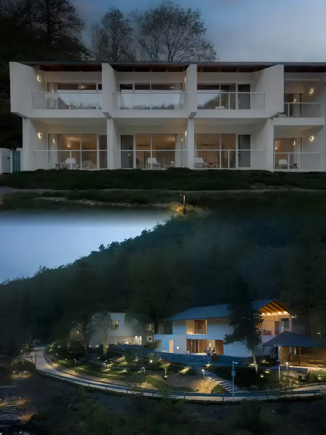 의외의 기쁨, 천년 은행나무의 보호