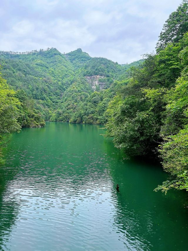 反向旅遊真香|陳情令取景地磐安百丈潭