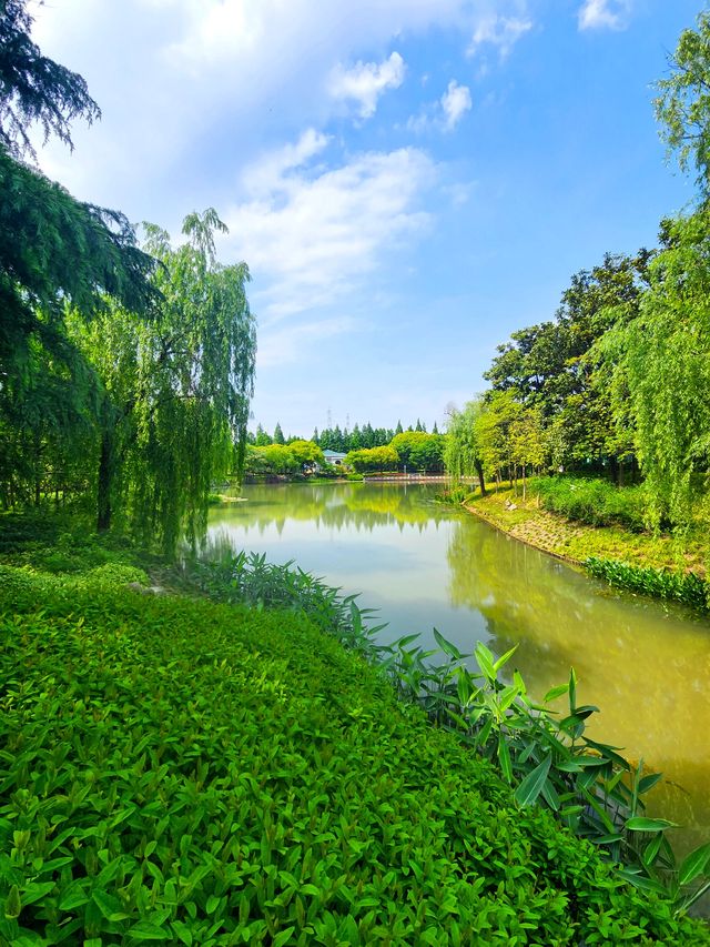 小眾偏僻的華夏公園也有優勢，人少景靚，還有座“浦東獐園”