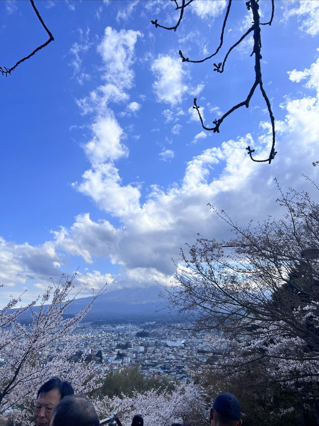 富士山下